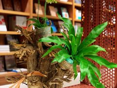 -二酉书店TOYOU BOOKS