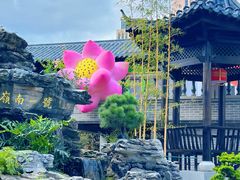 -顺德渔村·岭南一号