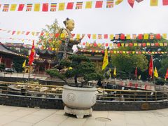 -上海东林寺(金山区)