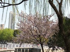 -后襄河公园