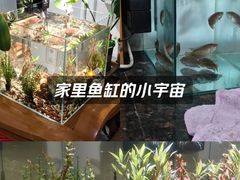 -海珠儿童公园
