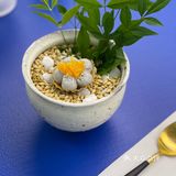 你看这蓝桌子，夺蓝。