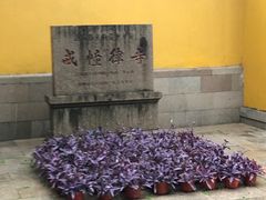 -西园戒幢律寺
