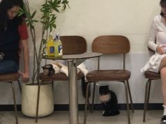-共舞时光猫咖·狗咖(新街口店)