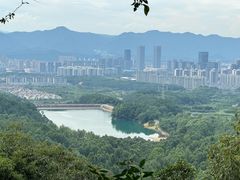 -大奇山国家森林公园