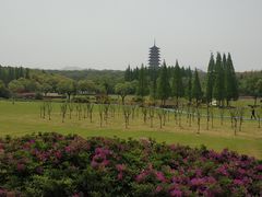 -宜兴龙背山森林公园