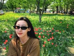 -长春公园(普阳街道)