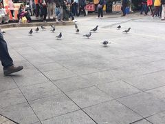 -淡水老街