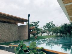 -五龙城郊森林公园