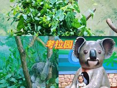 -广州长隆野生动物世界