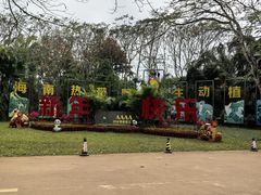 -海南热带野生动植物园