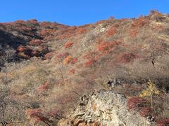 -水峪民俗村