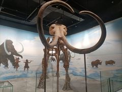 -辽宁古生物博物馆