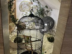 -云中漫步·足疗养生会馆(金开店)