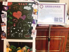 -宠爱国际动物医院·疑难骨科·心肾内科·皮肤科(太阳宫店)