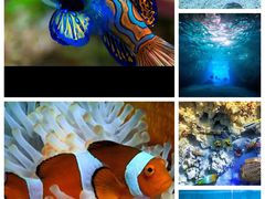 -海南热带野生动植物园