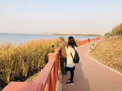 -丁香湖公园