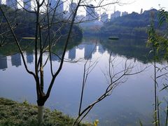 -重庆彩云湖湿地公园