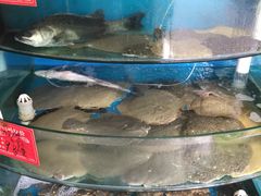 水产区-聚德福海鲜家常菜(刘庄店)