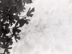 当年暗房俱乐部(上海店)-当年暗房俱乐部(上海店)