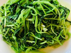 -华盛丰温州大排档(东三环南路店)