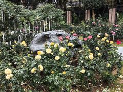 -人民公园(罗湖区)