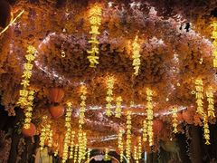 -北京欢乐谷
