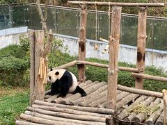 -黔灵山公园