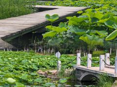 -前关湿地公园