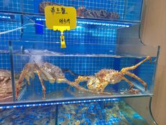 -前王院•巧克力海鲜市集餐厅(万平口店)