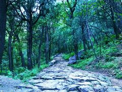 -阳台山自然风景区