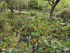 -福阳·足道养生会所(远大路店)