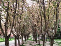 -渭河城市绿地运动公园