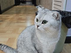 -悠米私人影院(街道口店)