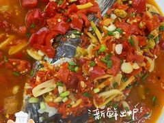 -全乐鱼馆·淳牌有机鱼直营店