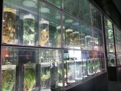-广东中医药博物馆