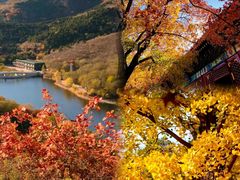 -香山公园