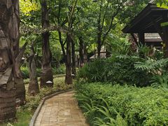 -昆明洲际酒店
