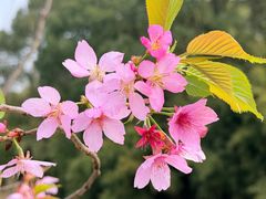 -梁鸿国家湿地公园