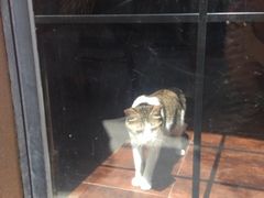 -嘉善老市