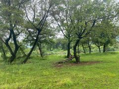 -楠溪江风景名胜区