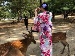 -枫雅和服体验(奈良店)