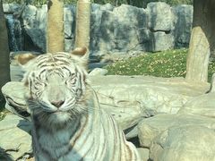 -北京野生动物园