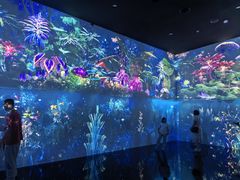 -中国湿地博物馆