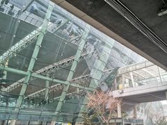 -合肥新桥国际机场-航站楼