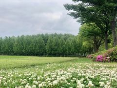 -阳澄湖半岛旅游度假区