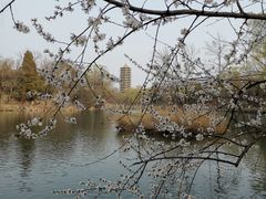 -农园餐厅(北京大学店)