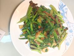 -顺平人家
