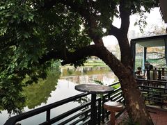 -侨美·唐荔园·40年地道粤菜