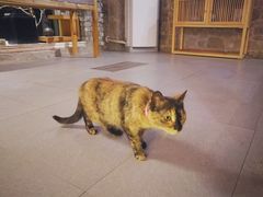 -驿舍·民國老营房院子私房菜(科学会堂店)